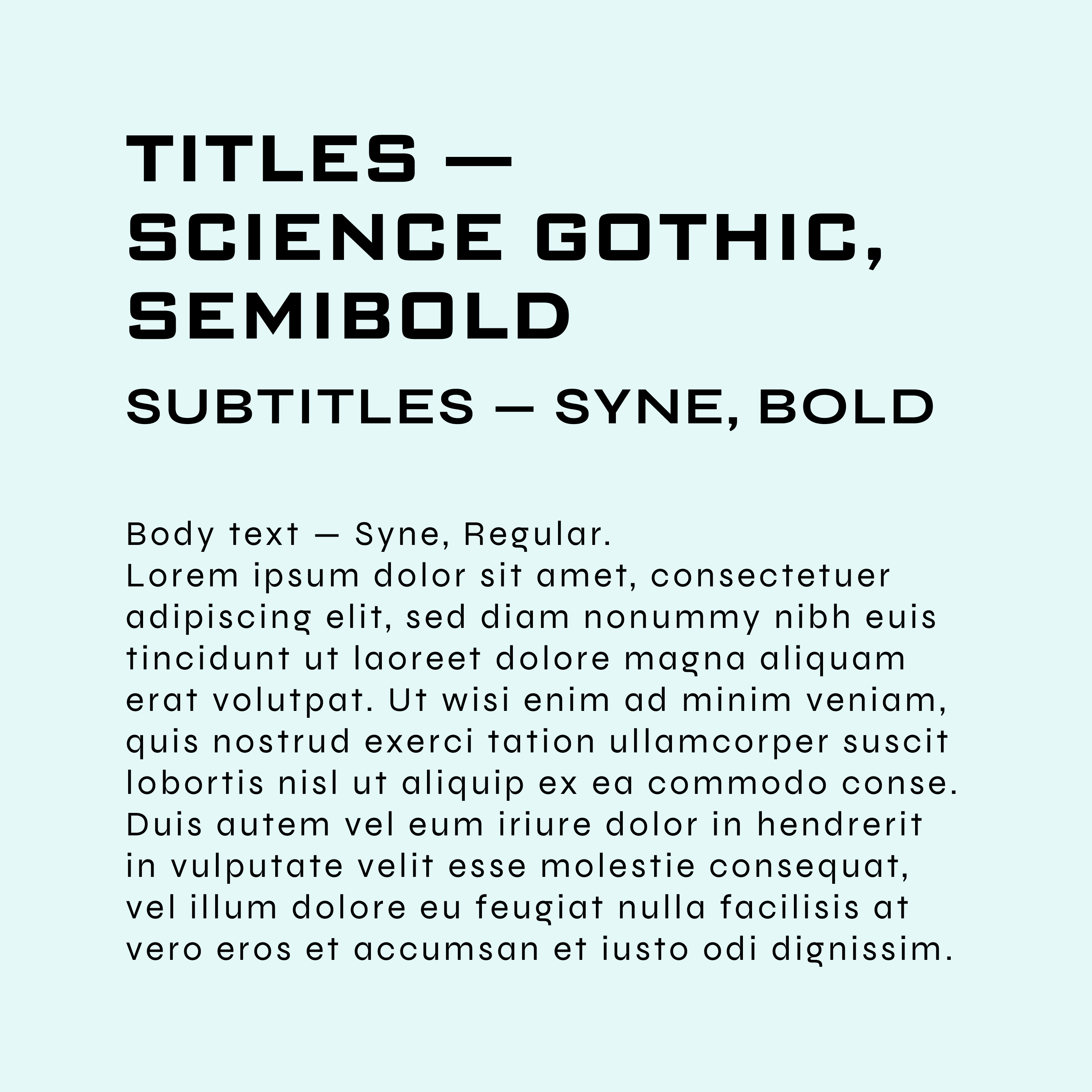 Brand & Type — example 4